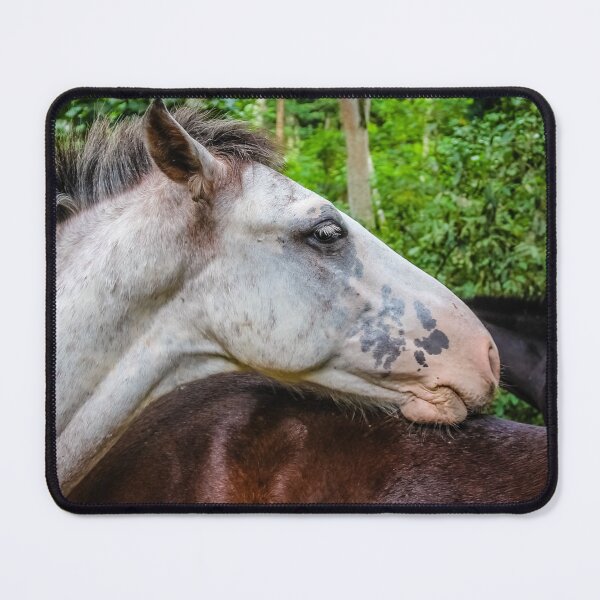 Item preview, Wilde horse designed and sold by Lyl Dil Creations.