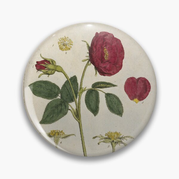 Item preview, Sheldrake's Red Rose designed and sold by Lloyd Library & Museum.