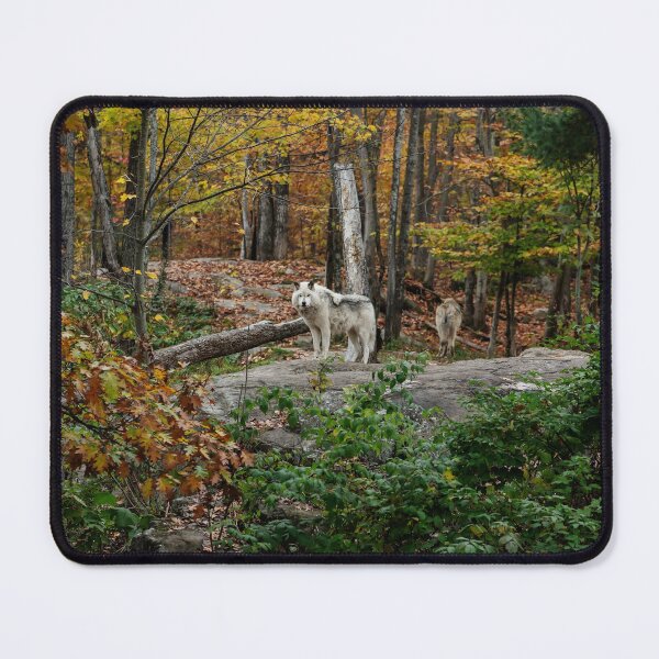 Item preview, Wolves designed and sold by Jane Ruttkayova.