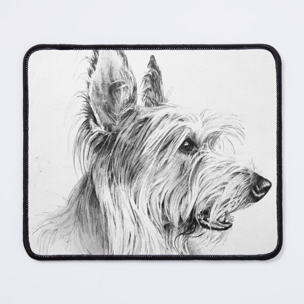 Item preview, Berger Picard drawing designed and sold by ArtfulDogster.