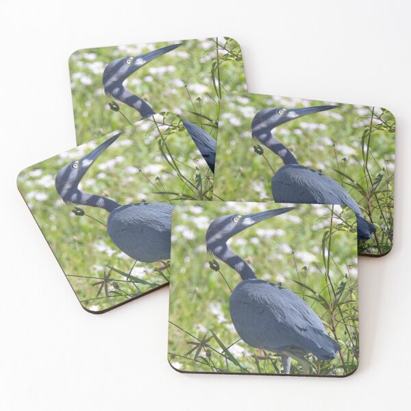 Item preview, Shadow Hunter - Little Blue Heron designed and sold by HeadBlaze.
