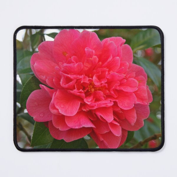 Item preview, Camellia designed and sold by RedHillDigital.