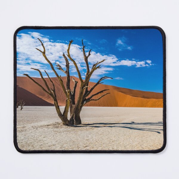 Item preview, Tree and Shadow in Deadvlei, Namibia designed and sold by Lyl Dil Creations.