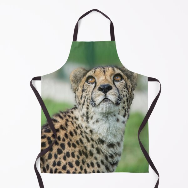 Item preview, Cheetah caught in an upward gaze designed and sold by Fiona Etkin.