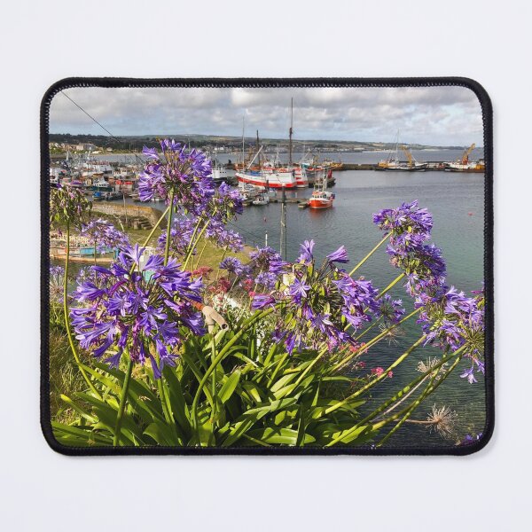 Item preview, Overlooking Newyln Harbour, Cornwall designed and sold by RevolutionEarth.