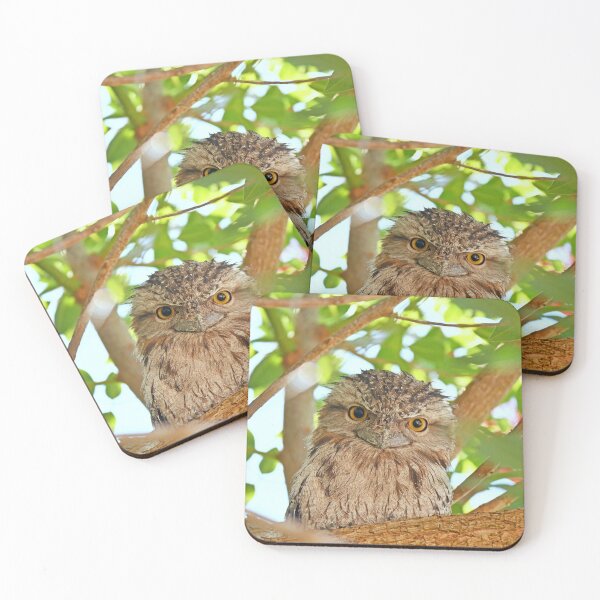 Item preview, Tawny frogmouth designed and sold by Doug Cliff.