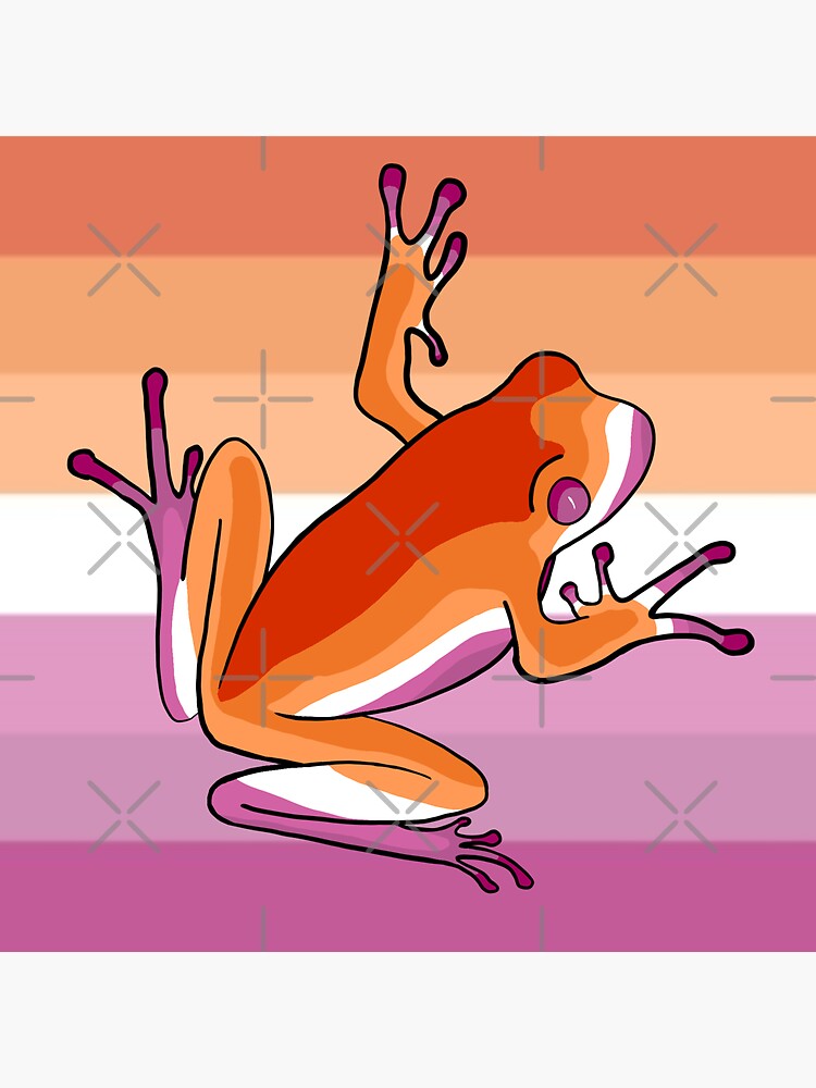 Lesbian Pride Flag Frog Sticker By Rainbowfrogpond Redbubble