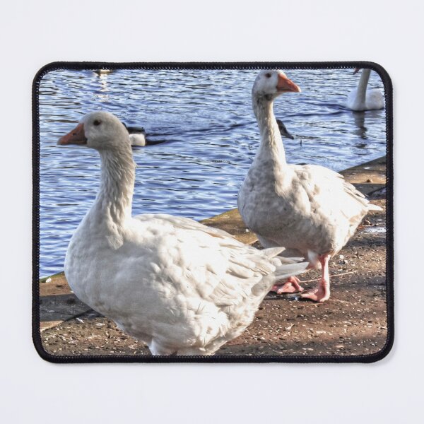 Item preview, Embden Geese designed and sold by tomg.