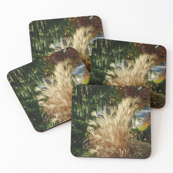 Item preview, Pampas Grass designed and sold by Shulie1.
