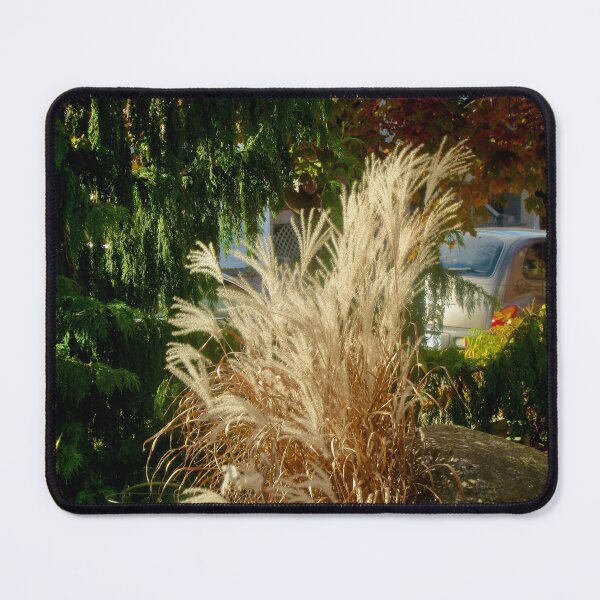 Item preview, Pampas Grass designed and sold by Shulie1.