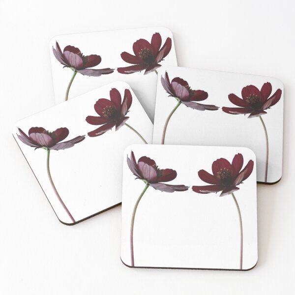 Item preview, Chocolate Cosmos Duo designed and sold by AlysonFennell.