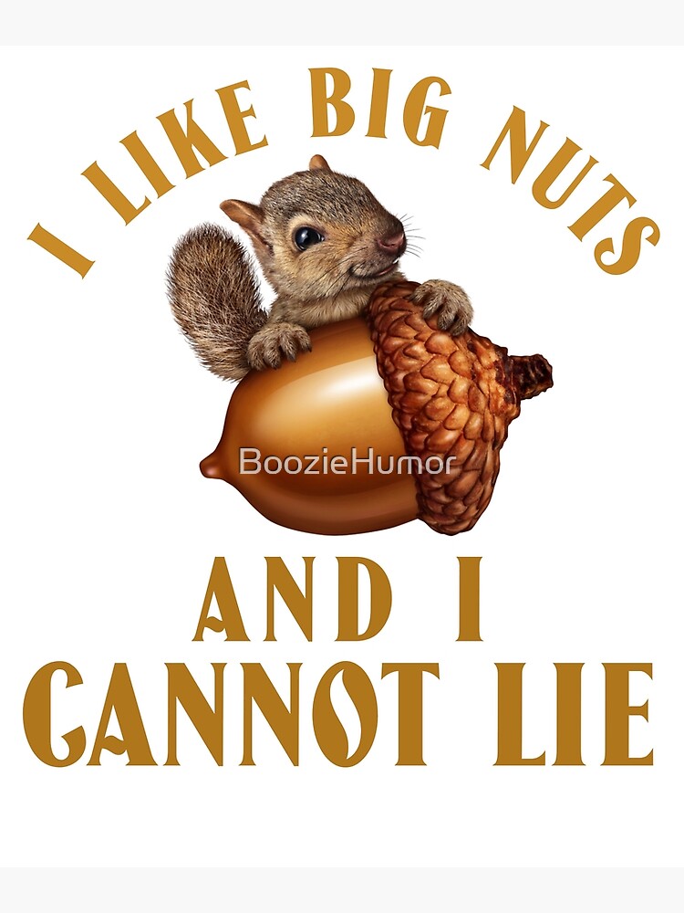 I Like Big Nuts And I Cannot Lie - Funny Squirrel joke