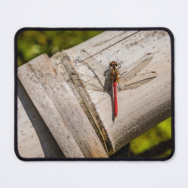 Item preview, Red dragonfly designed and sold by Lyl Dil Creations.