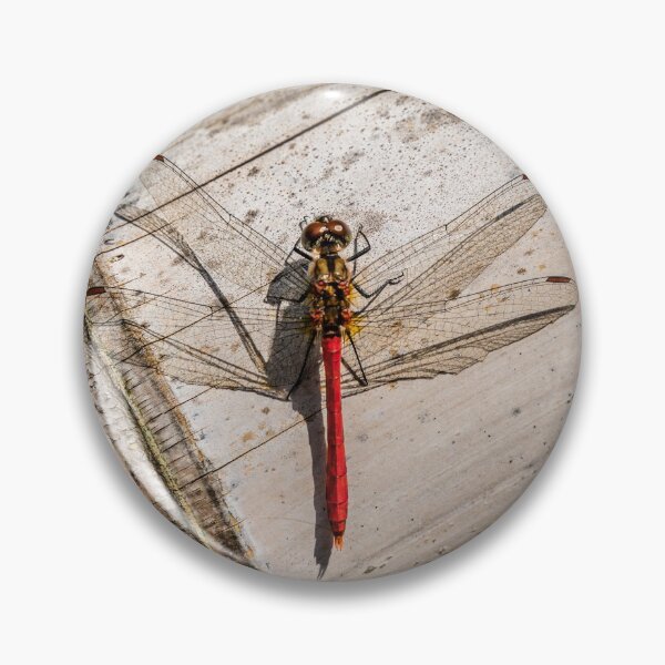 Item preview, Red dragonfly designed and sold by Lyl Dil Creations.
