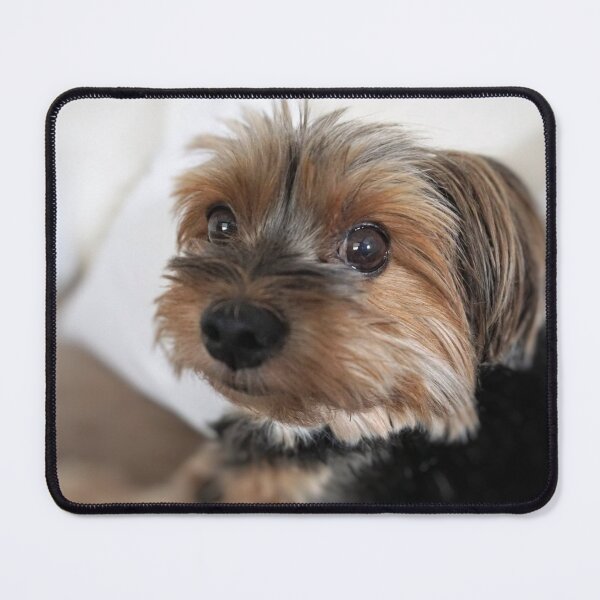 Item preview, Funny Cute Yorkie Yorkshire Terrier face designed and sold by adriana-holmes.
