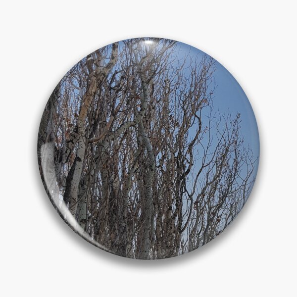 Item preview, Lombardy Poplar in Winter designed and sold by SarahHogmanArt.