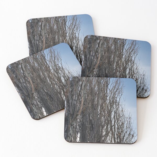 Item preview, Lombardy Poplar in Winter designed and sold by SarahHogmanArt.