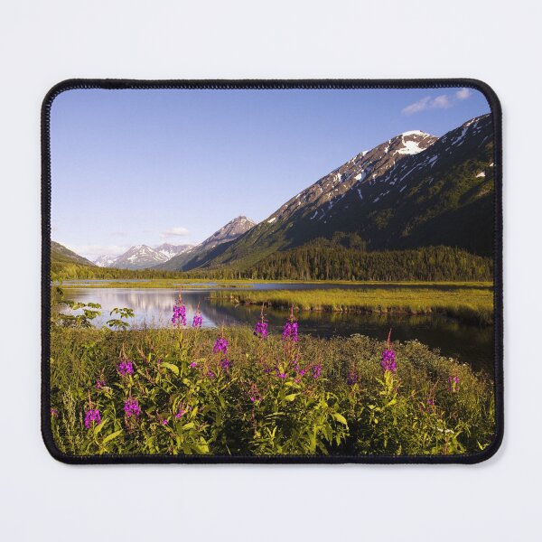 Item preview, Scenic view from the Seward highway in the Chugach National Forest, Alaska designed and sold by OrcaNature.