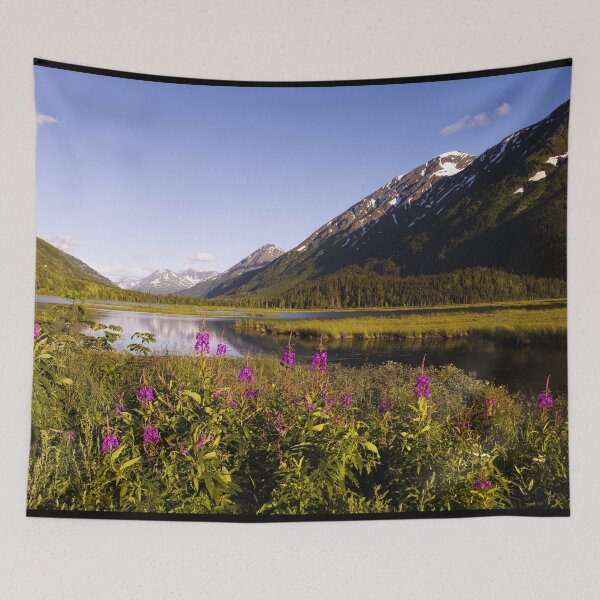 Item preview, Scenic view from the Seward highway in the Chugach National Forest, Alaska designed and sold by OrcaNature.