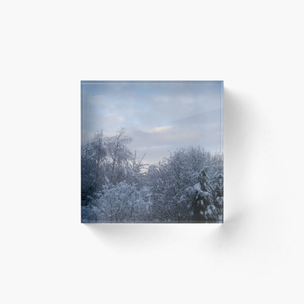 Snow-capped Trees Acrylic Block