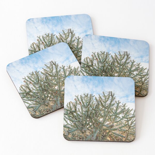 Item preview, Cholla Cactus designed and sold by Elena Ray.
