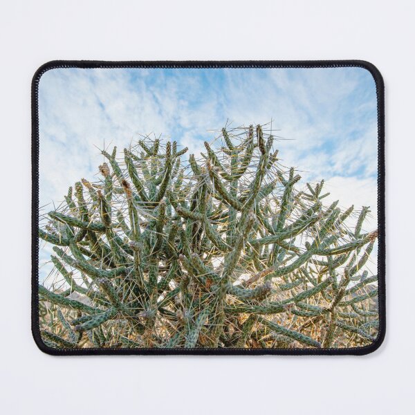Item preview, Cholla Cactus designed and sold by Elena Ray.