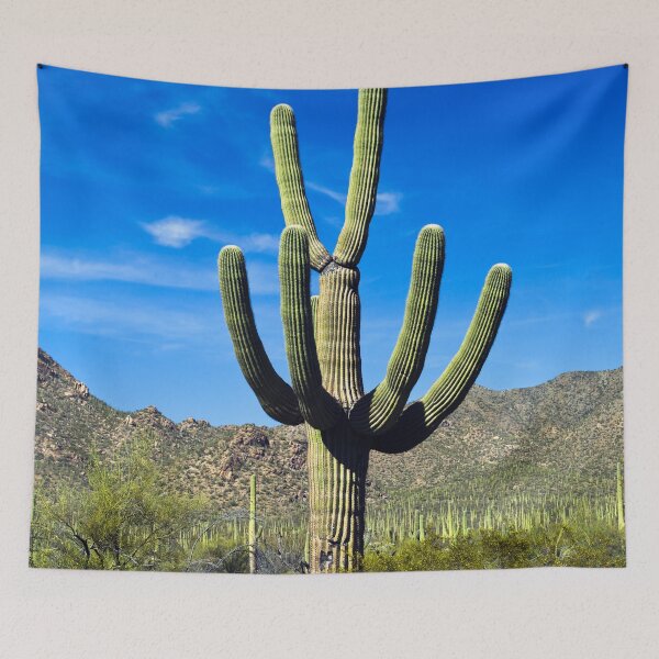 Item preview, Saguaro Cactus near Tucson, Arizona designed and sold by OrcaNature.