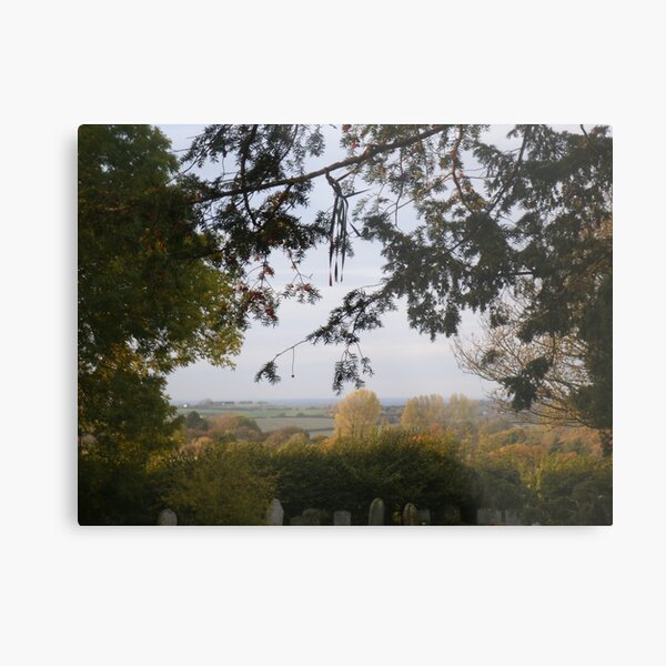 Graveyard View Metal Print
