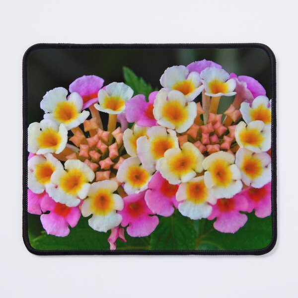 Item preview, Pretty Little Weeds designed and sold by GenaHerro.