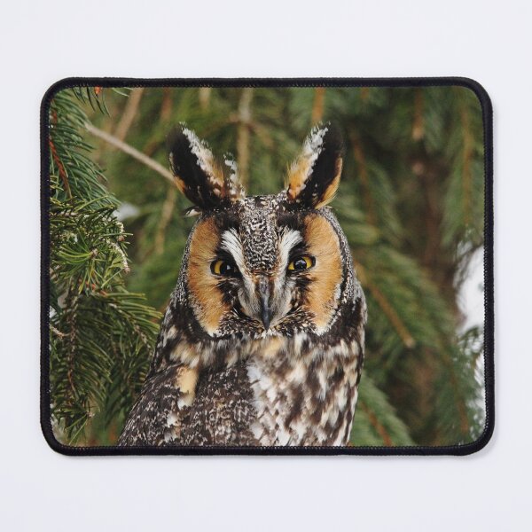 Item preview, Stare Down designed and sold by Debbie Oppermann.