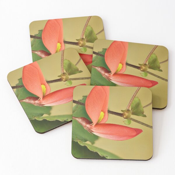 Item preview, Running Postman (Kennedia prostrata), native ground cover, South Australia designed and sold by NanaRusty.