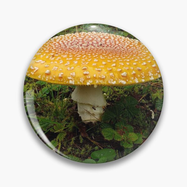 Artikelvorschau, Pilz entworfen und verkauft von BobJohnson.