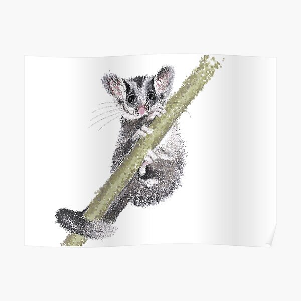 "Leadbeaters Possum Pointillism Dot Art" Poster for Sale by