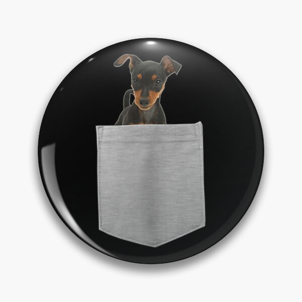 Item preview, Miniature Pinscher Dog In Your Pocket  Long Sleeve  designed and sold by hanktromp668.