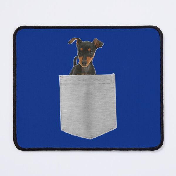 Item preview, Miniature Pinscher Dog In Your Pocket  Long Sleeve  designed and sold by hanktromp668.