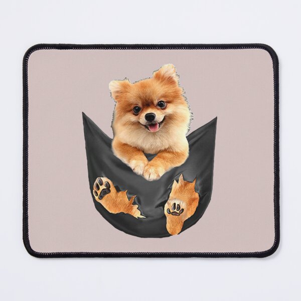 Item preview, Pomeranian in the pocket designed and sold by hanktromp668.