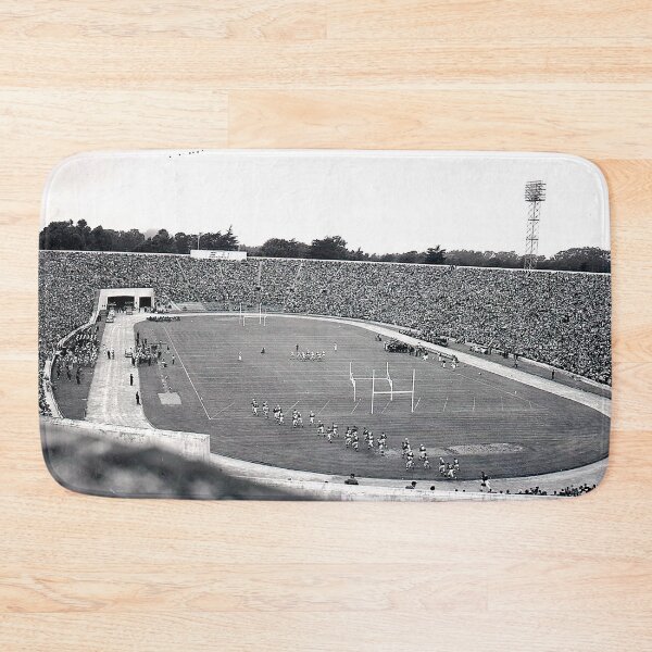 Item preview, Kezar Stadium, San Francisco Football Stadium, old stadums,  designed and sold by Nostrathomas66.