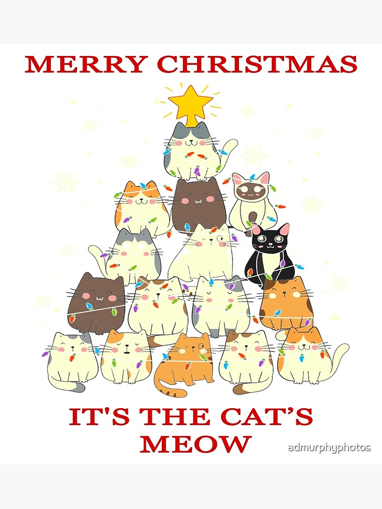 "The Cat's Meow" Poster for Sale by admurphyphotos Redbubble