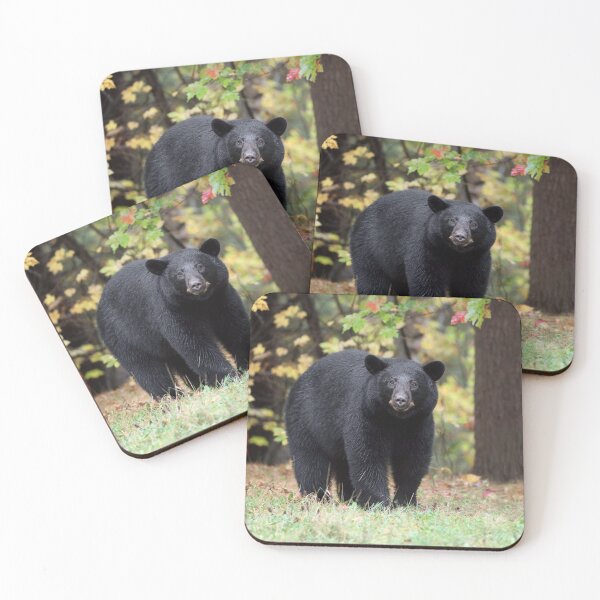 Item preview, Black Bear designed and sold by mlorenz.