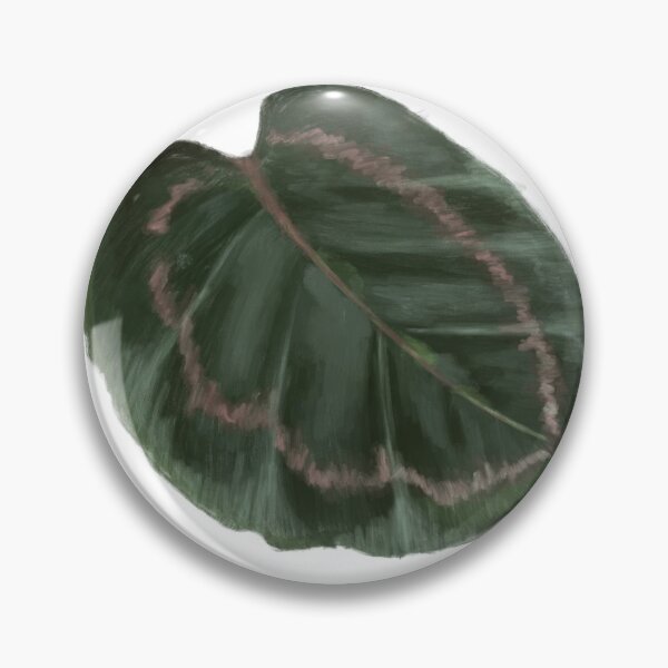 Item preview, Planta de interior de hoja de Calathea Roseopicta tropical pintada estética designed and sold by neatchicdesigns.