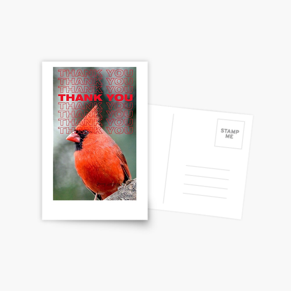THANK YOU WITH Colourful Northern Cardinal  bird By  Yannis Lobaina  Postcard