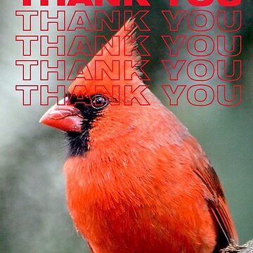 Artwork thumbnail, THANK YOU WITH Colourful Northern Cardinal  bird By  Yannis Lobaina  by lobaina1979