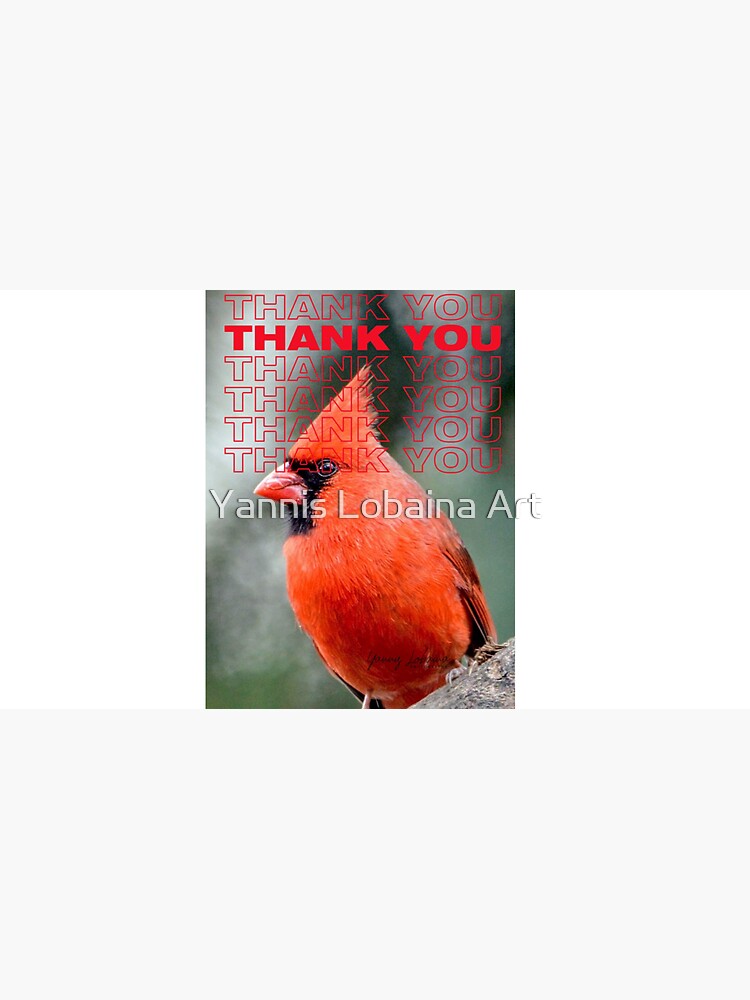 THANK YOU WITH Colourful Northern Cardinal bird By Yannis Lobaina by lobaina1979