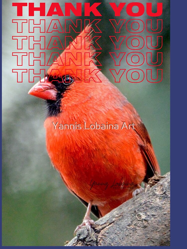 THANK YOU WITH Colourful Northern Cardinal bird By Yannis Lobaina by lobaina1979