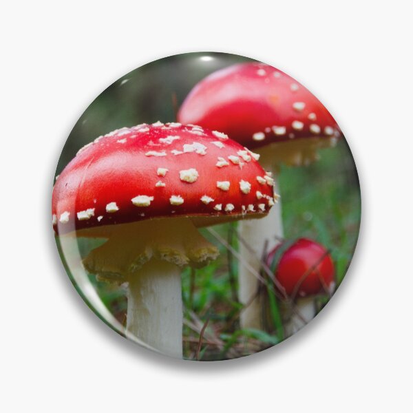 Item preview, A Forest Fantasy designed and sold by Penny Heighes.