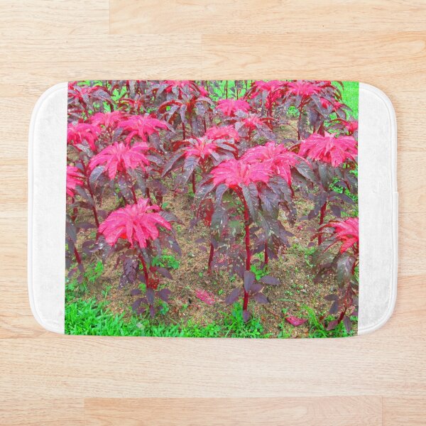 Item preview, Colorful plants in garden designed and sold by Emynent-Store.