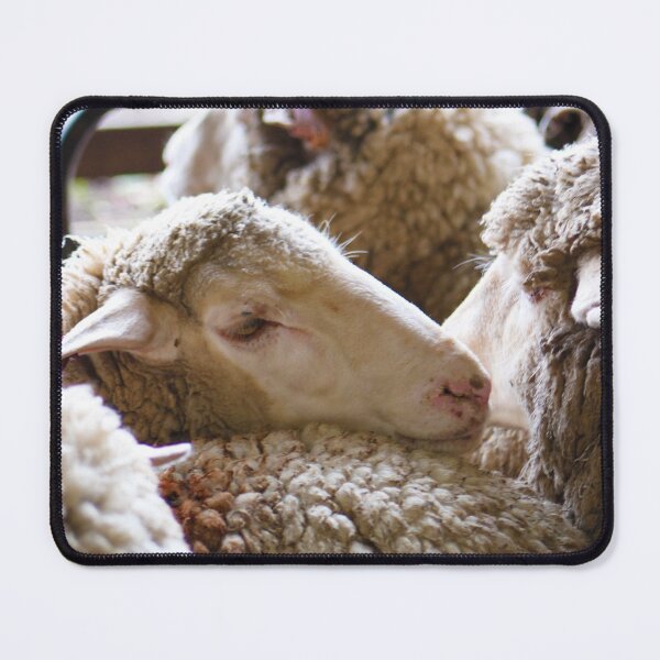 Item preview, Morning At The Farm Ready For Some Shearing designed and sold by maricelagomez.