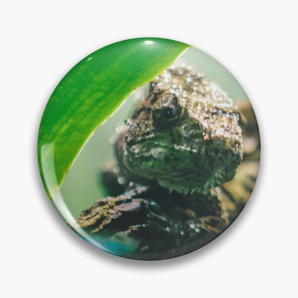 Item preview, Lizard hiding under a leaf designed and sold by Michael Deemer.