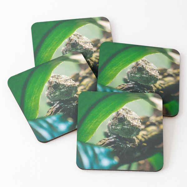 Item preview, Lizard hiding under a leaf designed and sold by Michael Deemer.