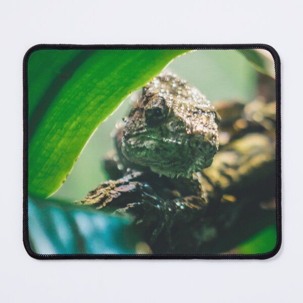 Item preview, Lizard hiding under a leaf designed and sold by Michael Deemer.